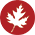 autumn leaf in red circle icon