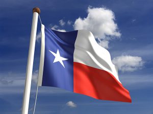 Texas State Flag